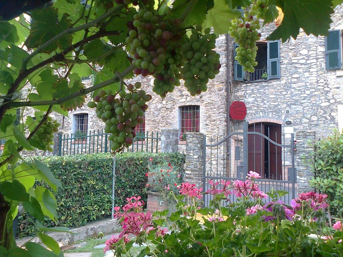 Villa Agriturismo A Veggia Vigna Garlenda Exterior foto